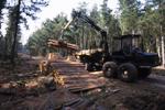 timber harvest