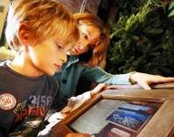 forest wildlife & conservation