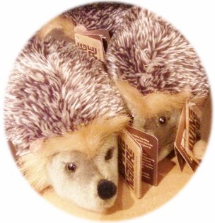 Living Nature hedgehogs