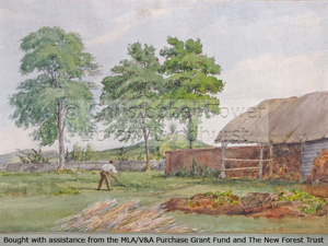 The Paddock