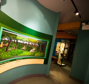 diorama