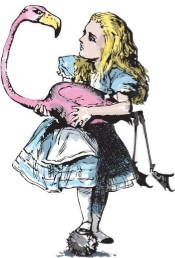Alice Web