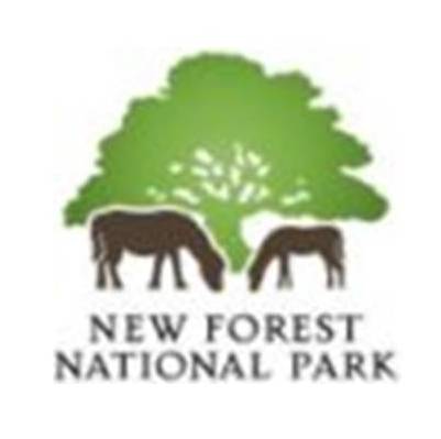 nfnpa logo