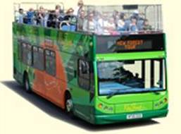 new forest tour bus