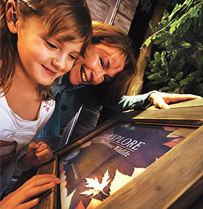 Looking at information panel